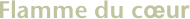 Flamme du cœur